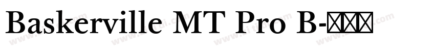 Baskerville MT Pro B字体转换